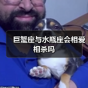 巨蟹座与水瓶座会相爱相杀吗
