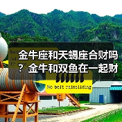 金牛座和天蝎座合财吗？金牛和双鱼在一起财运如何？