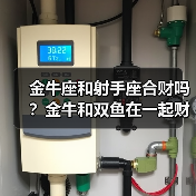金牛座和射手座合财吗？金牛和双鱼在一起财运如何？