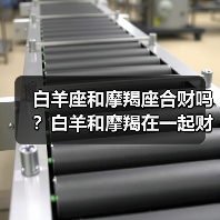 白羊座和摩羯座合财吗?白羊和摩羯在一起财运如何?(图2) 白羊座和摩羯座合财吗?白羊和摩羯在一起财运如何?(图2)