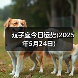 双子座今日运势(2025年5月24日)(图4) 双子座今日运势(2025年5月24日)(图4)