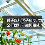 狮子座和狮子座吵架怎么样缓和？如何相处？