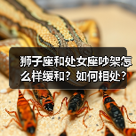 狮子座和处女座吵架怎么样缓和？如何相处？