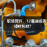 职场晋升，12星座该丢掉啥包袱？
