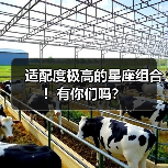 适配度极高的星座组合!有你们吗?(图4) 适配度极高的星座组合!有你们吗?(图4)