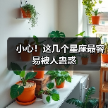 小心！这几个星座最容易被人蛊惑