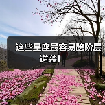 这些星座最容易跨阶层逆袭！（图4）