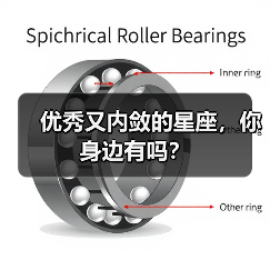 优秀又内敛的星座，你身边有吗？