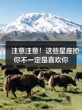 注意注意!这些星座撩你不一定是喜欢你(图1) 注意注意!这些星座撩你不一定是喜欢你(图1)