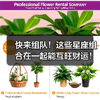 快来组队！这些星座组合在一起能互旺财运！