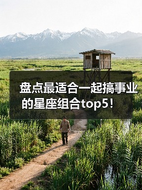 盘点最适合一起搞事业的星座组合top5!(图4) 盘点最适合一起搞事业的星座组合top5!(图4)