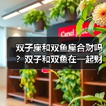 双子座和双鱼座合财吗？双子和双鱼在一起财运如何？（图2）