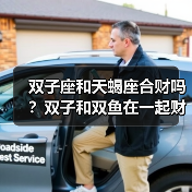 双子座和天蝎座合财吗？双子和双鱼在一起财运如何？（图3）