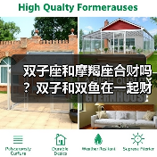 双子座和摩羯座合财吗?双子和双鱼在一起财运如何?(图2) 双子座和摩羯座合财吗?双子和双鱼在一起财运如何?(图2)