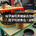 双子座和天蝎座合财吗?双子和双鱼在一起财运如何?(图4) 双子座和天蝎座合财吗?双子和双鱼在一起财运如何?(图4)