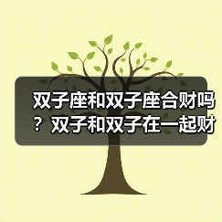 双子座和双子座合财吗？双子和双子在一起财运如何？