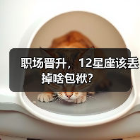 职场晋升，12星座该丢掉啥包袱？（图3）