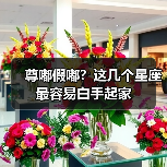 尊嘟假嘟?这几个星座最容易白手起家(图3) 尊嘟假嘟?这几个星座最容易白手起家(图3)