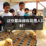这些星座最容易遭人背刺!(图3) 这些星座最容易遭人背刺!(图3)
