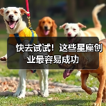 快去试试!这些星座创业最容易成功(图1) 快去试试!这些星座创业最容易成功(图1)