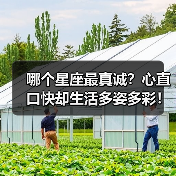 哪个星座最真诚?心直口快却生活多姿多彩!(图3) 哪个星座最真诚?心直口快却生活多姿多彩!(图3)