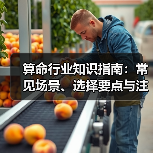 算命行业知识指南:常见场景、选择要点与注意事项(图1) 算命行业知识指南:常见场景、选择要点与注意事项(图1)