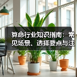 算命行业知识指南:常见场景、选择要点与注意事项(图4) 算命行业知识指南:常见场景、选择要点与注意事项(图4)